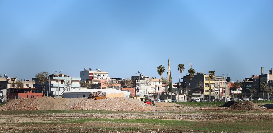 Coniler, Conolara komşu oluyor