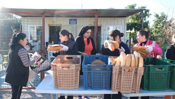 Ceyhan Belediyesi Ramazan Ayı’nda 450 Bin Ekmek Dağıtacak