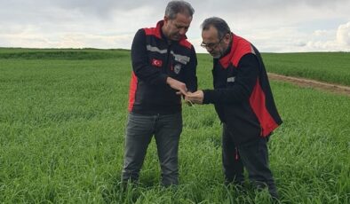 Kozan Tarım Müdürlüğü’nden çiftçilere uyarı