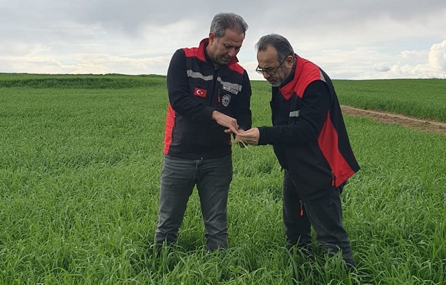 Kozan Tarım Müdürlüğü’nden çiftçilere uyarı