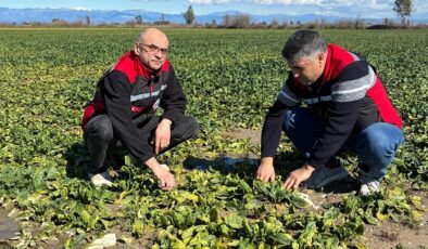 KOZAN’DA SEL ZARARLARI TESPİT EDİLİYOR