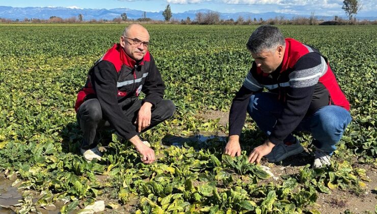 KOZAN’DA SEL ZARARLARI TESPİT EDİLİYOR