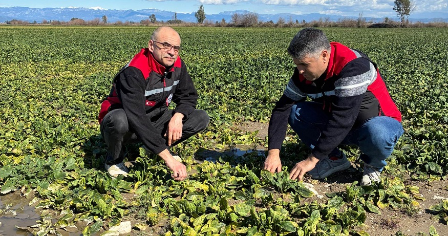 KOZAN’DA SEL ZARARLARI TESPİT EDİLİYOR