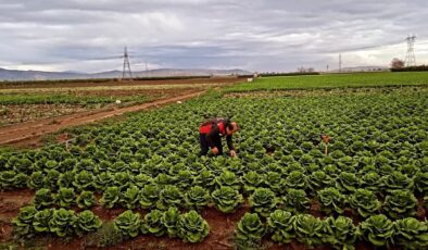 Tarladan sofraya kadar denetim ağı