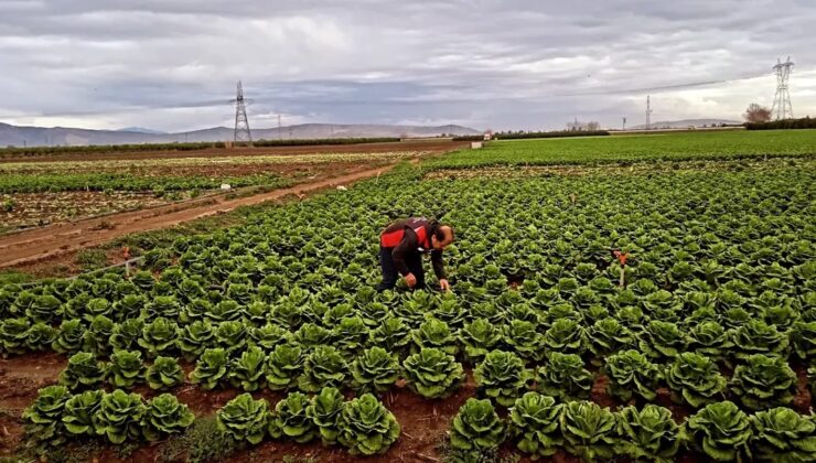 Tarladan sofraya kadar denetim ağı