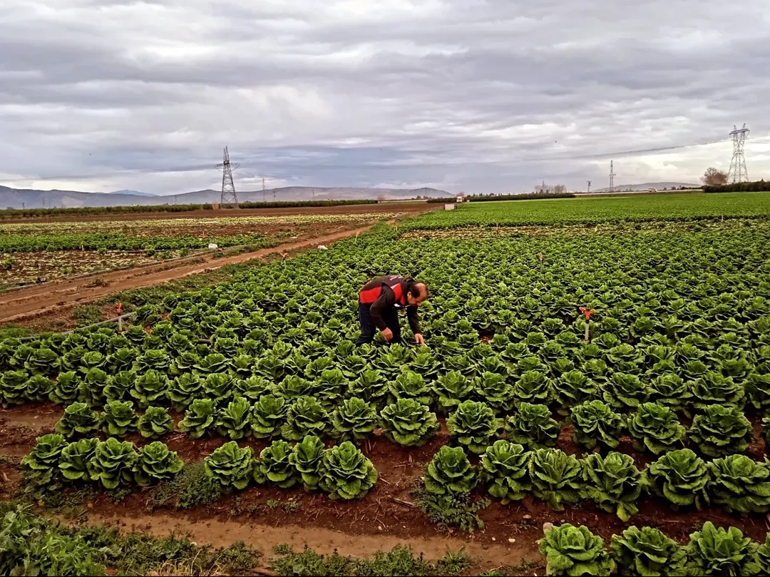 Tarladan sofraya kadar denetim ağı