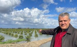 Barut: “Zararı ödeyin, mağduriyeti giderin”