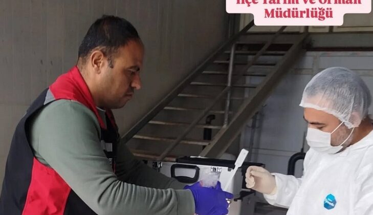 Kozan’da süt çiftliğinde resmi kontrol