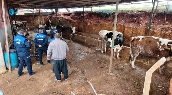 SARIÇAM’DA AHIRLAR KALDIRILIYOR!