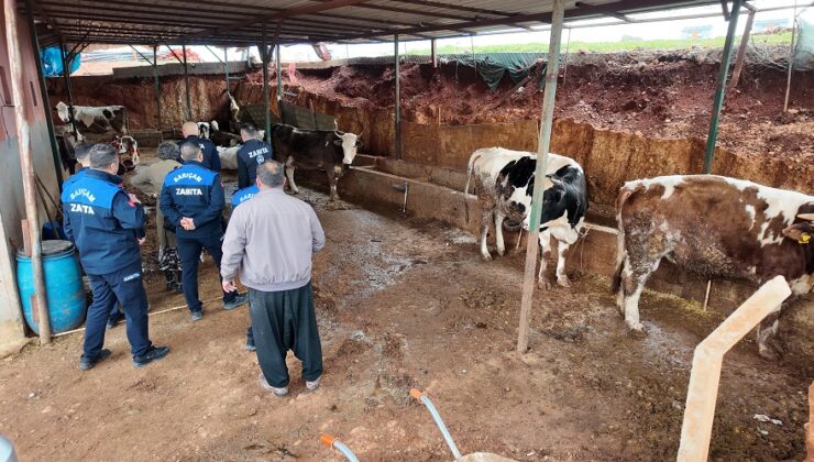 SARIÇAM’DA AHIRLAR KALDIRILIYOR!