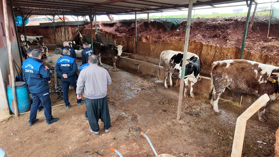 SARIÇAM’DA AHIRLAR KALDIRILIYOR!