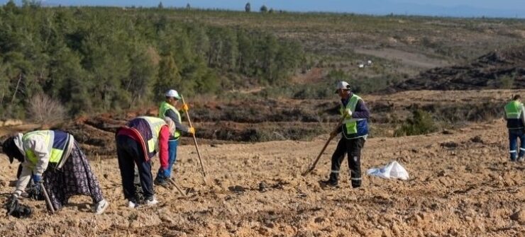SARIÇAM’DA ORMAN SEFERBERLİĞİ