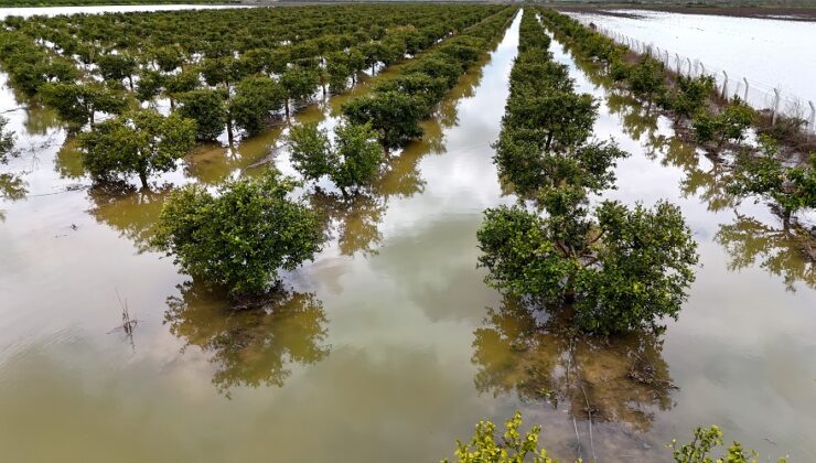 Çukurova’yı yağmur vurdu