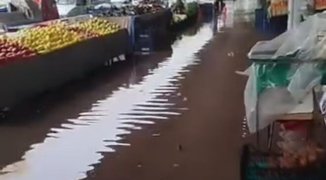 Adana’da yağmur sele neden oldu