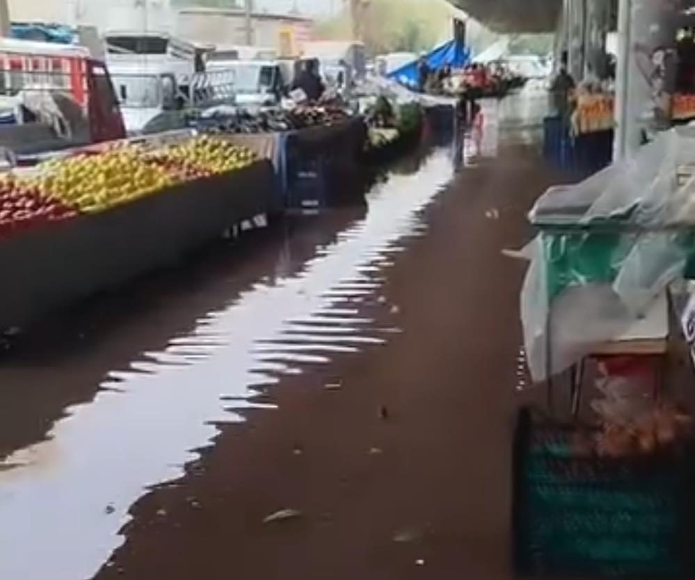 Adana’da yağmur sele neden oldu