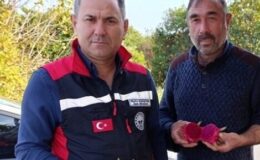 KOZAN TARIM, MUTLU KARATAŞ İLE VİTES YÜKSELTTİ