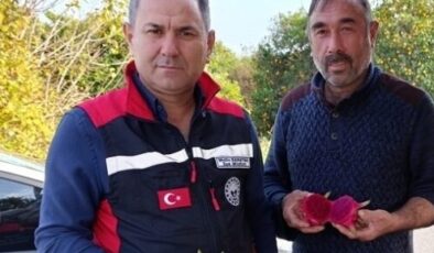 KOZAN TARIM, MUTLU KARATAŞ İLE VİTES YÜKSELTTİ