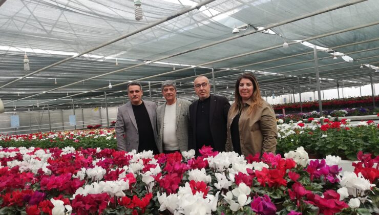 Gardenkoala’nın pazar lideri olması kolay kazanılmadı