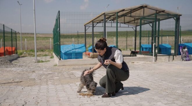 Ceyhan Belediyesi’nden Patili Dostlara Doğal Yaşam Alanı