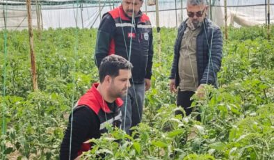 Kozan’da sürvey çalışması