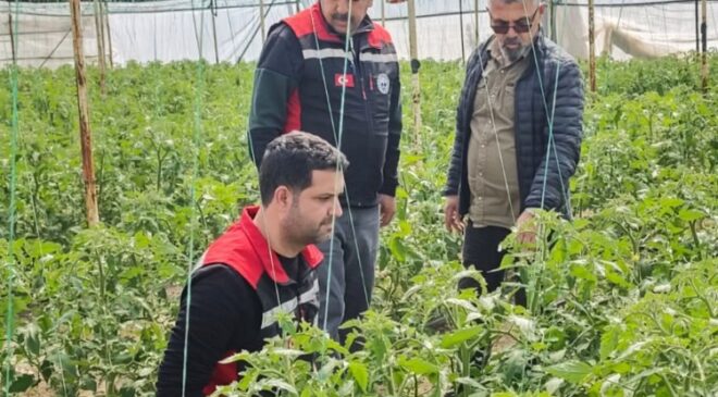 Kozan’da sürvey çalışması