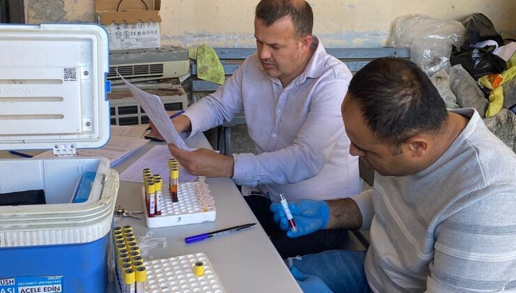 Kozan’da şap aşılaması