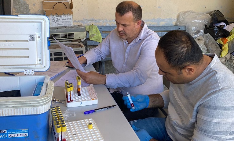 Kozan’da şap aşılaması